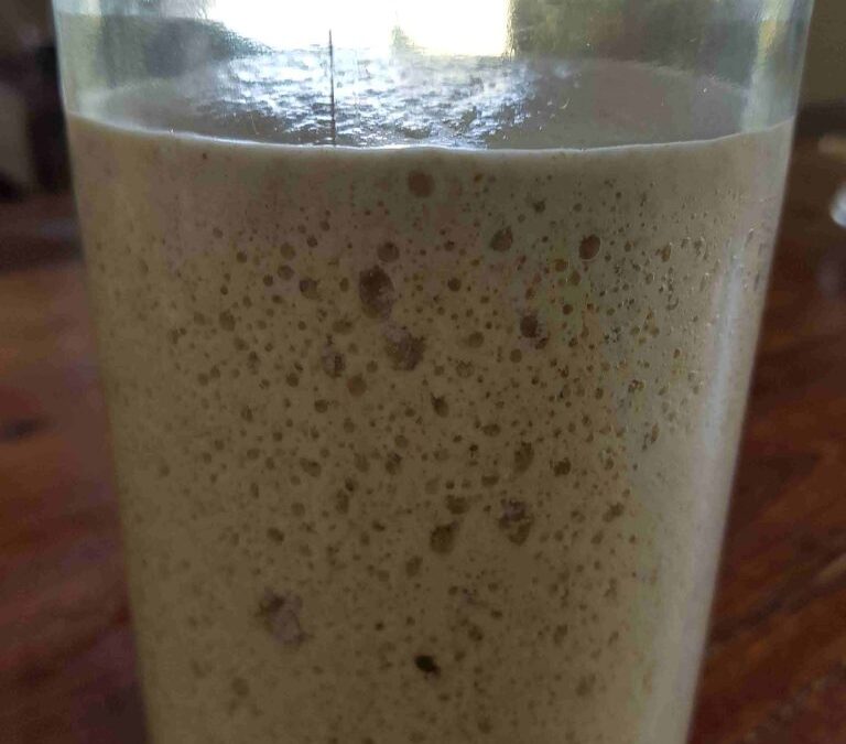 Happy Belly Sourdough Bread