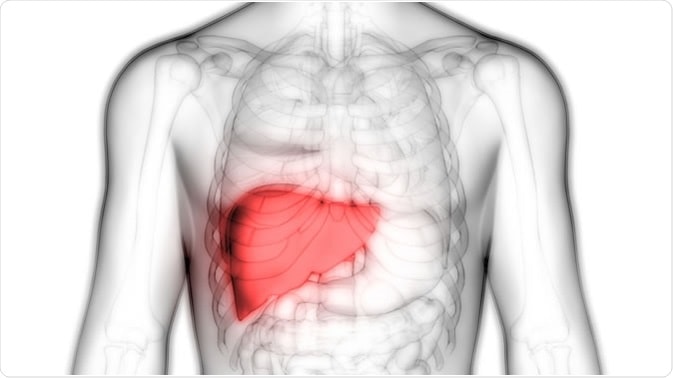 What’s Best for your Liver