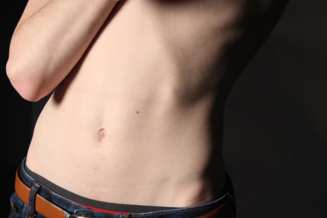 abdomen