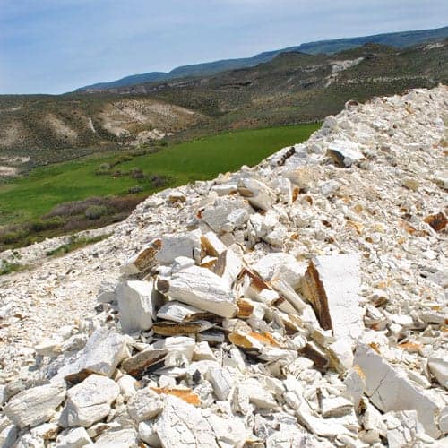 Zeolite – the master of detoxification