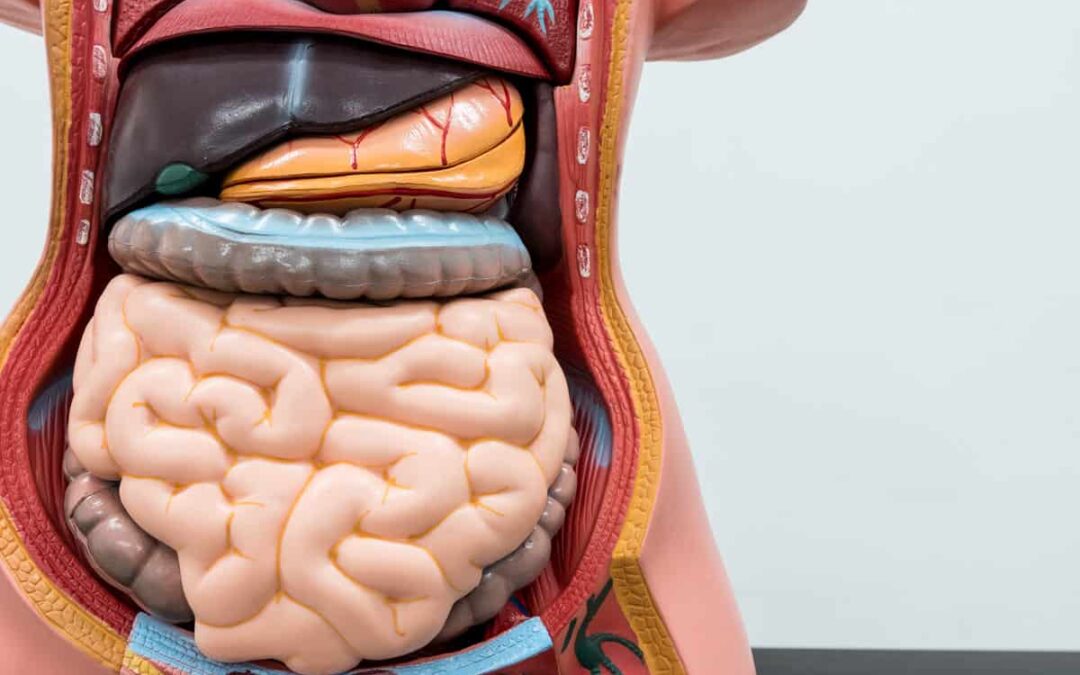 Colonoscopy